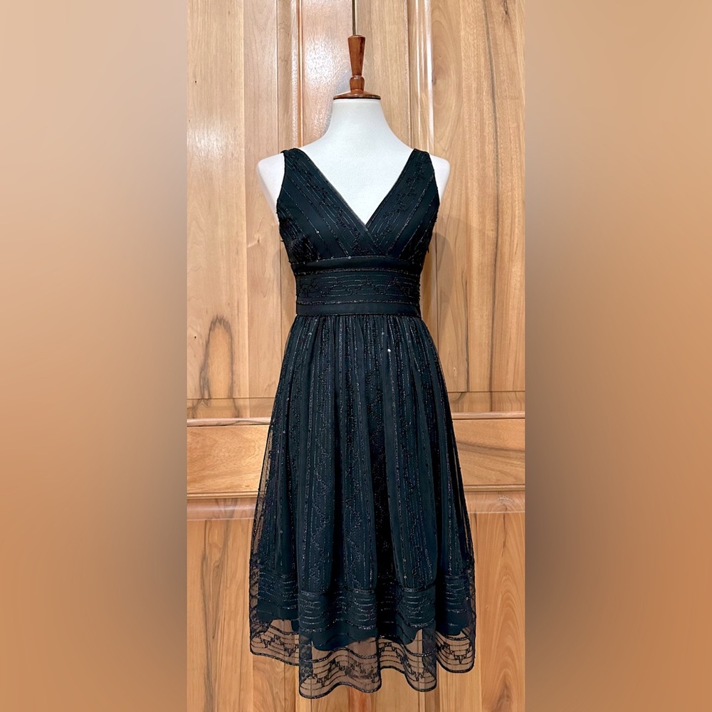 Maggy London Petites Sheer Black Stripes/Sequins Fit n’ Flare Cocktail Dress 4P